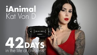 Kat Von D introduces iAnimal - 42 days in the life of chickens! (360 video)