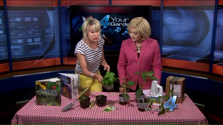 Growing Your Own Vegetables | KFOR 4 Your Garden