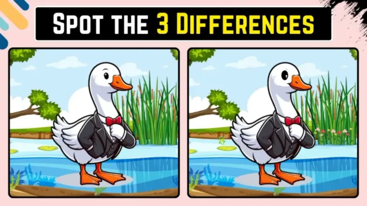 Test Your Focus: Find the 3 Differences Between These Two Duck Images! 