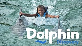 Dolphins Discovery Riviera Maya Mexico Dream Puerto Aventuras Resort and Spa | MyhouseTV