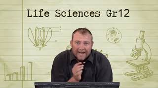 Grade12 Life Science 02 0003 Monohybrid Crosses