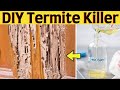 DIY Termite Killer Spray to Get Rid Of Dry wood Termites Naturally And Fast In Trees And Furniture