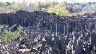 MADAGASCAR - Les Grands Tsingy de Bemaraha