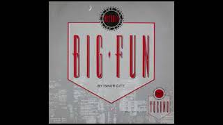 Inner City - Big Fun [HQ Acapella & Instrumental] WAV