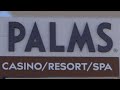 The Palms - Fresh, New & Reinvented for 2019