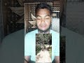 মানুষের পাশে দাঁড়ানো ভালো কাজ, মানুষের ক্ষতি করা বড় গুনাহ