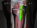 開脚できないのはお尻の外側が原因かも