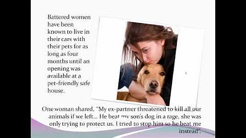 Domestic Violence and Animal Abuse