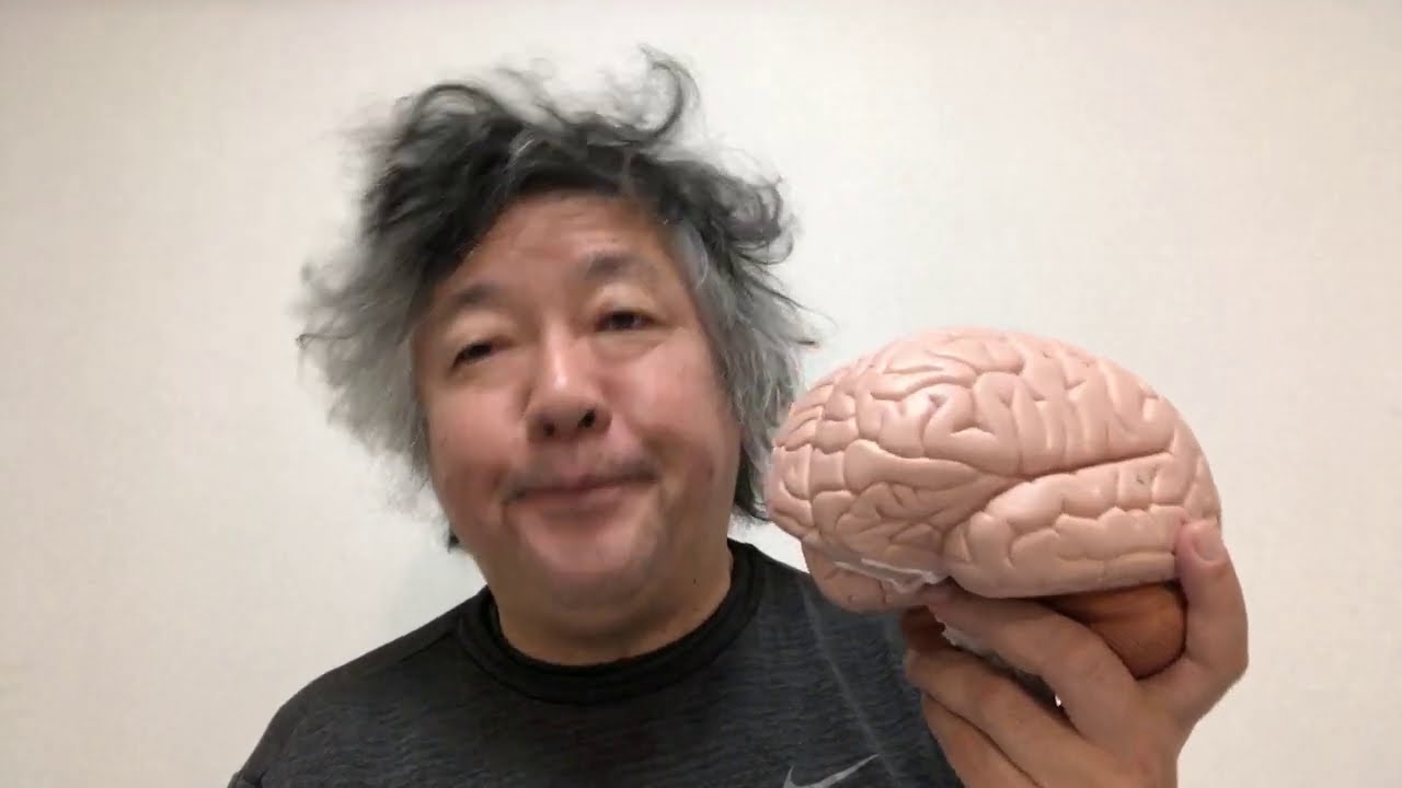 意識についての議論が噛み合わない理由はメタ認知の違いにある