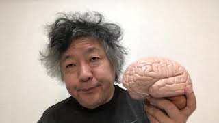 意識についての議論が噛み合わない理由はメタ認知の違いにある