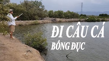 Câu Cá Bống Đục - Đùng ( Vuông ) Bà Rịa, hứng nắng, gió biển, cá bống to um sùm :))