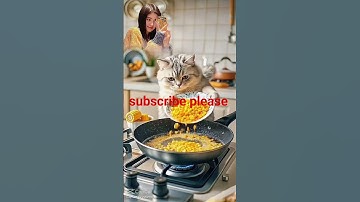 cat video #cat #highlight #youtube