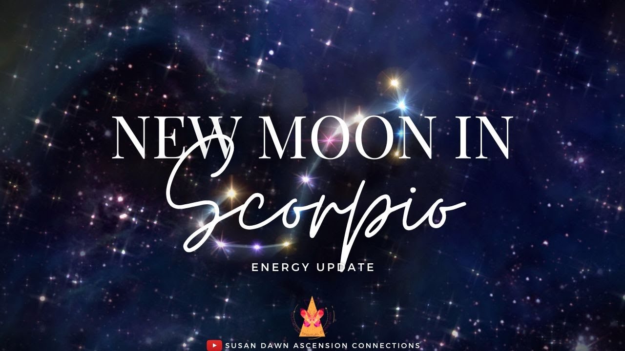 New Moon in Scorpio Energy Update 🌑 NEW MOON, NEW BEGINNINGS YouTube