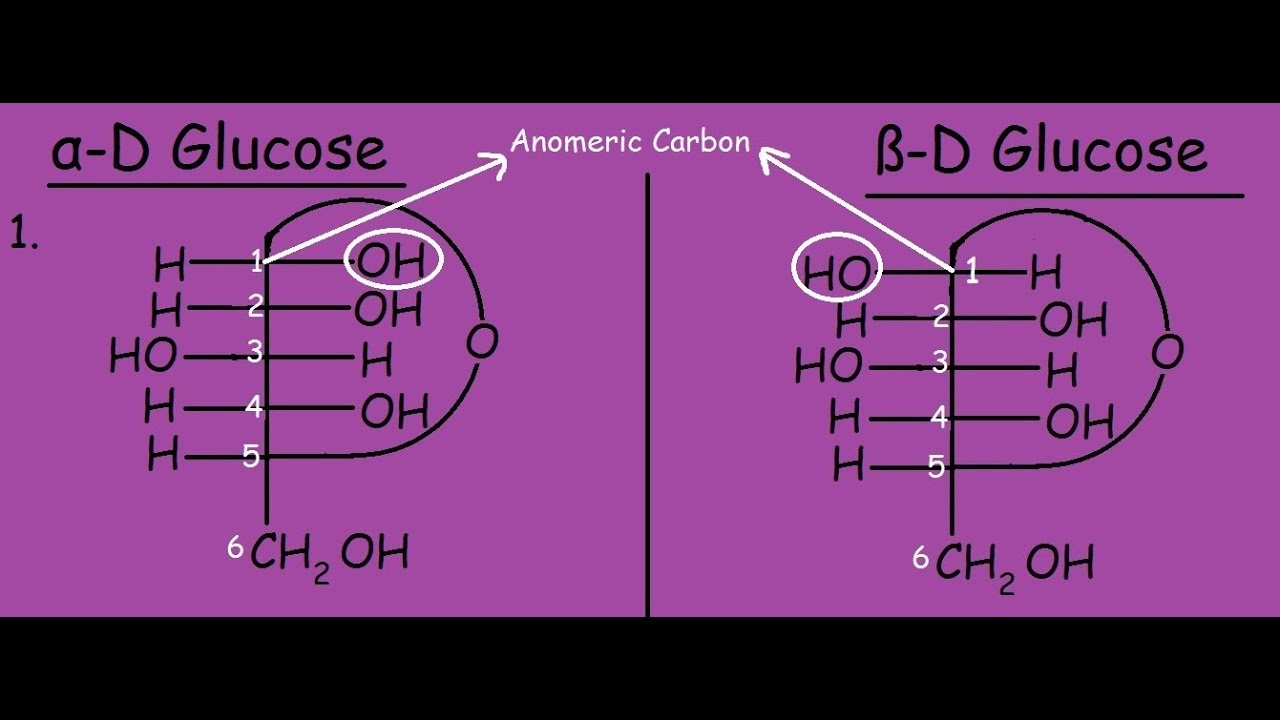 Alpha And Beta Glucose Ring Structure