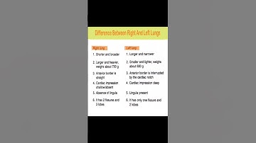 Difference between Right And Left Lungs 🫁 #anatomy #viral 🔥🔥