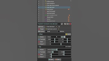 Change the settings of multiple constraints simultaneously in Spine