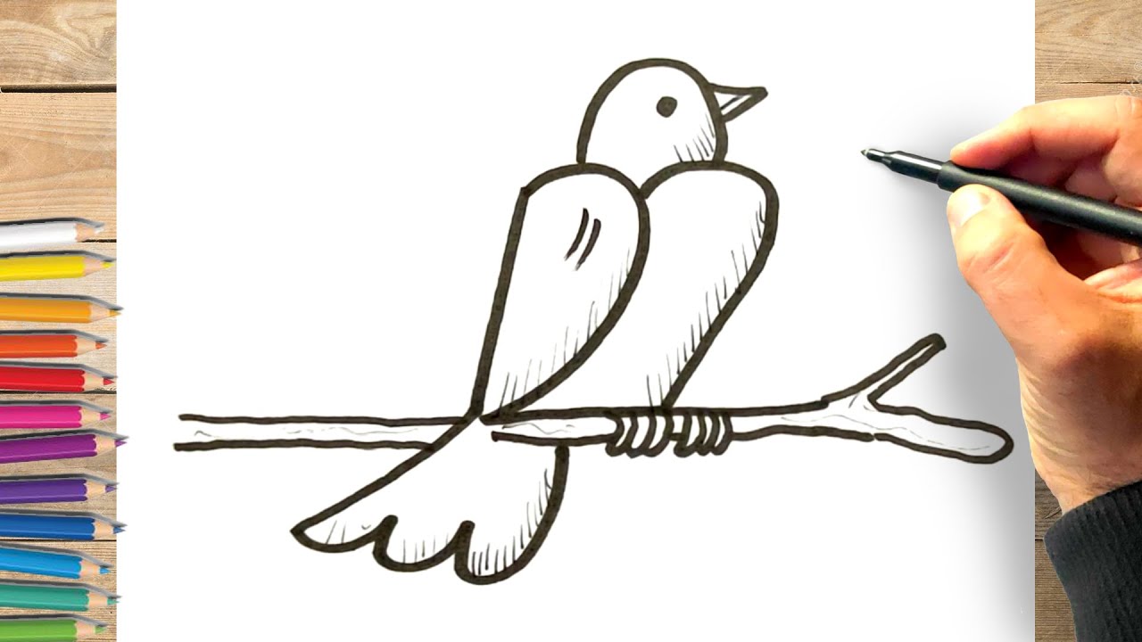 Comment Dessiner Un Oiseau Facile Comment dessiner un oiseau avec le chiffre 2 - YouTube