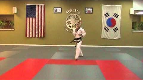 Pyung Ahn 5 - Rear View - Without Count