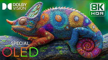 8K Video | Breathtaking OLED 8K HDR Dolby Vision™ (8K / 4K TV)
