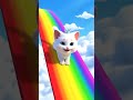 Princess Cat Sliding Down a Rainbow 🌈👑 #shorts #cat #viral
