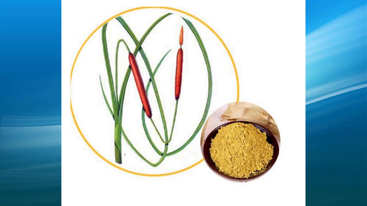 cattail pollen extract supplier,wholesale,bulk,factory