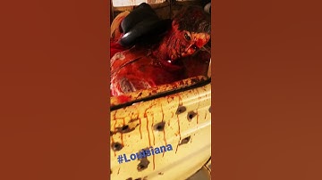 Thumbnail of Bonnie and Clyde #Louisiana #Museum ￼