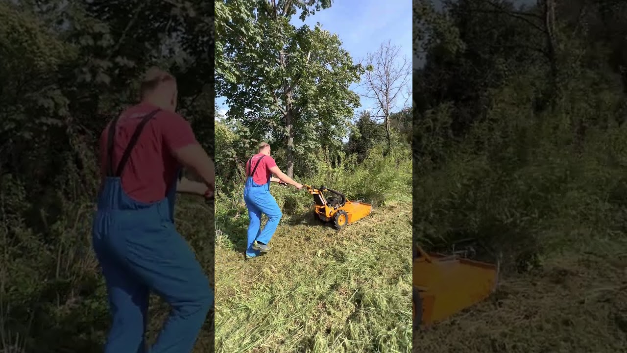 Kosilnica za visoko travo AS-Motor AS 65 2T ES, Lawnmower AS-Motor AS 65 2T ES two-stroke