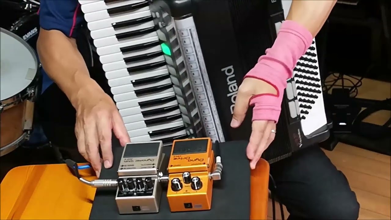 アコーディオンとエフェクターその4(たぶん) - ノリーヌ・ディオン