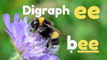 Digraph /ee/ | Phonics Lesson | Learn to Read with Phonics | Phonics Reading