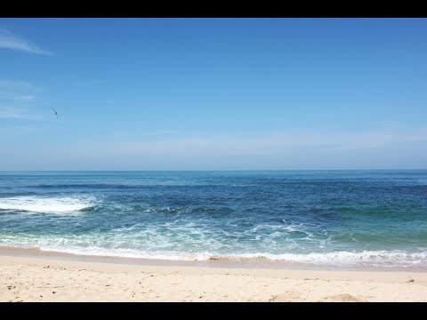 Video: Sargaško morje, karavella past