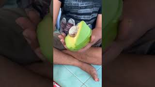 Jumbo Alligator But Avocado Review ‼️ Dont Forget Subscribe ☺️