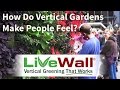 People Are Awestruck by LiveWall Living Walls People Are Awestruck by LiveWall Living Walls