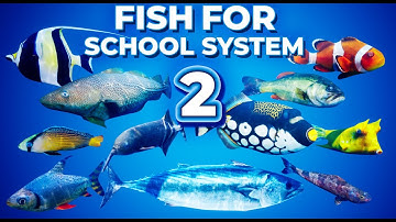Fish for School System V2