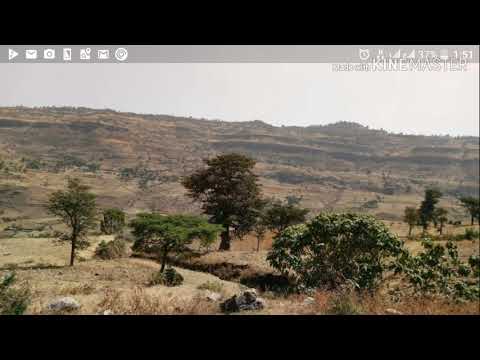 Best Shaggooyyee Qamar Yuusuf