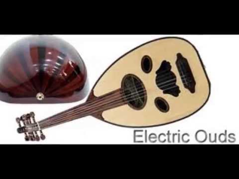 علي مدخلي على هامان يافرعون