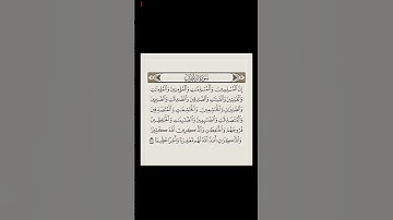 سورة الاحزاب 🤍 #quran #اكسبلور #ماهر_المعيقلي #سورة_الاحزاب #islamicscripture #لايك #allahquran