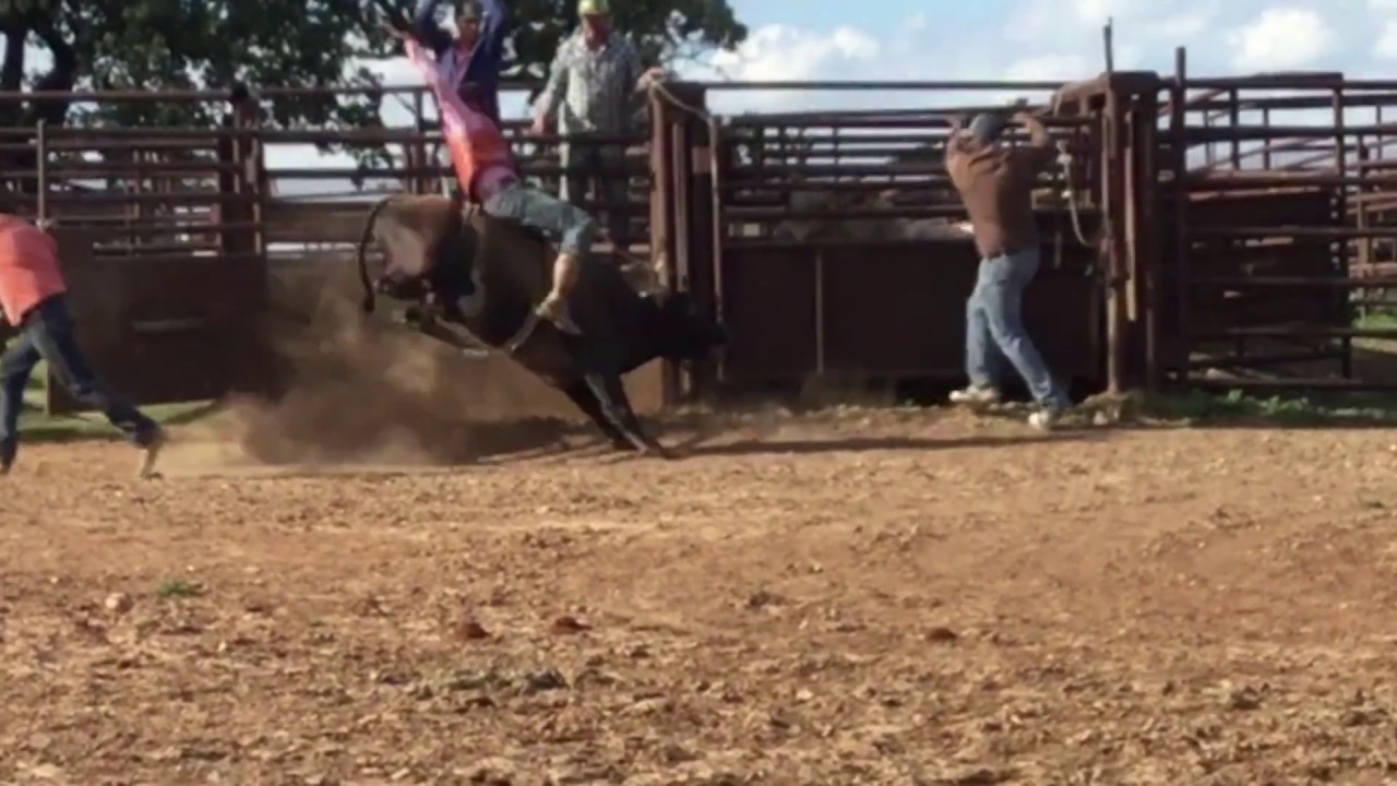 Bucking For A Title Local Youth Bull Rider Advances To