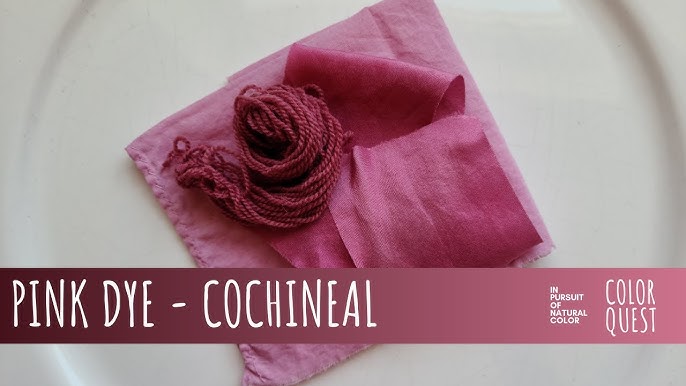 HOW TO MAKE RED DYE WITH COCHINEAL, ORGANIC COLOR