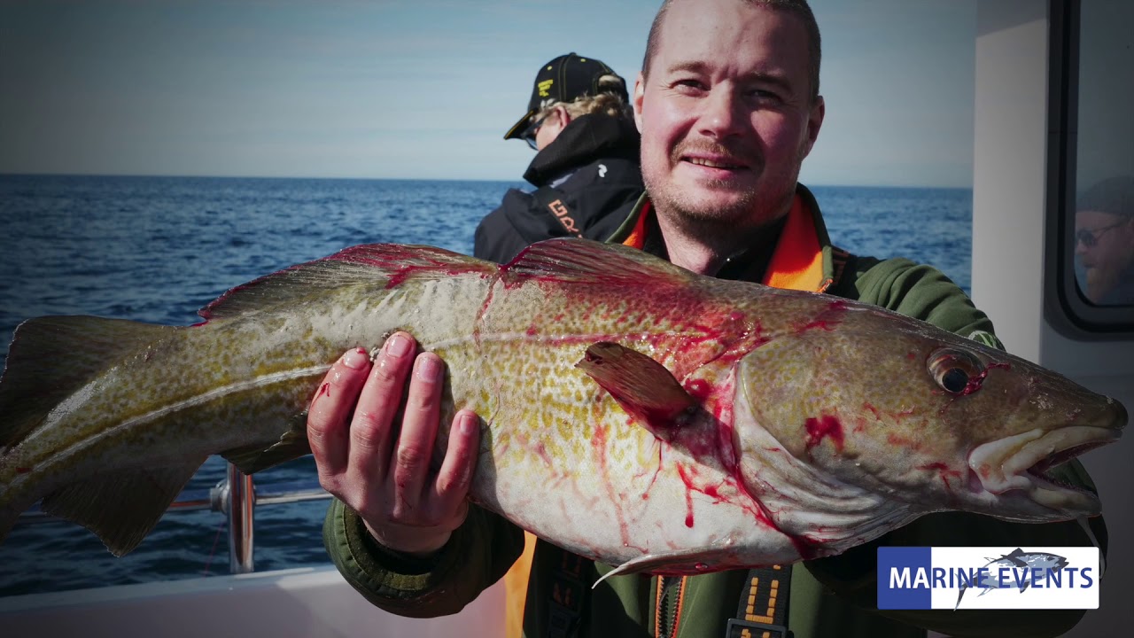 Wreck fishing 21 may 2020 - YouTube