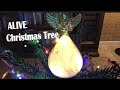 Decorate a REAL Christmas tree | Speak Bisaya Challenge