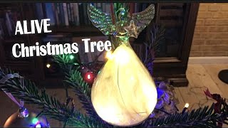 Decorate a REAL Christmas tree | Speak Bisaya Challenge