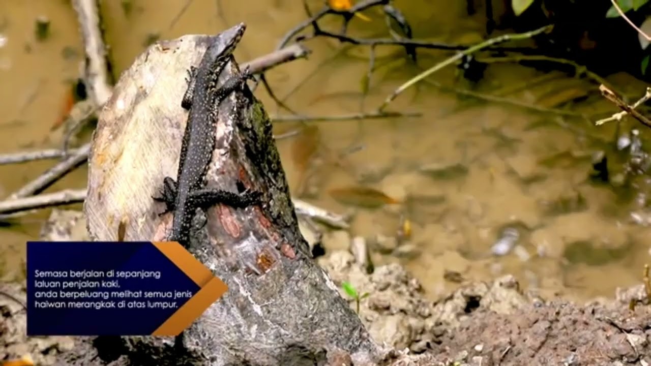 BFR22902 Built and Natural Heritage: Hometown Heritage Documentation