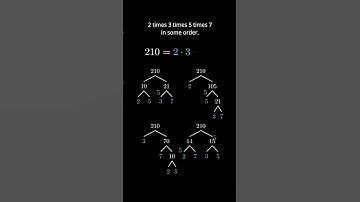 But why only 1 prime factorization? #math #learning #primefactorization