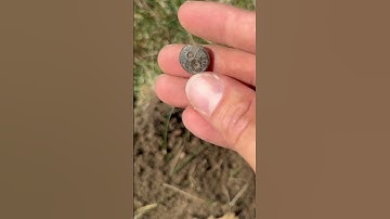 Rare Old Rubber Button Found ! #history #shorts #treasure #shortsvideo #old