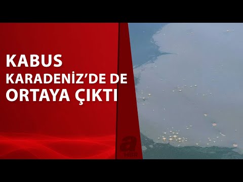 Marmara Denizi'nin Ardından