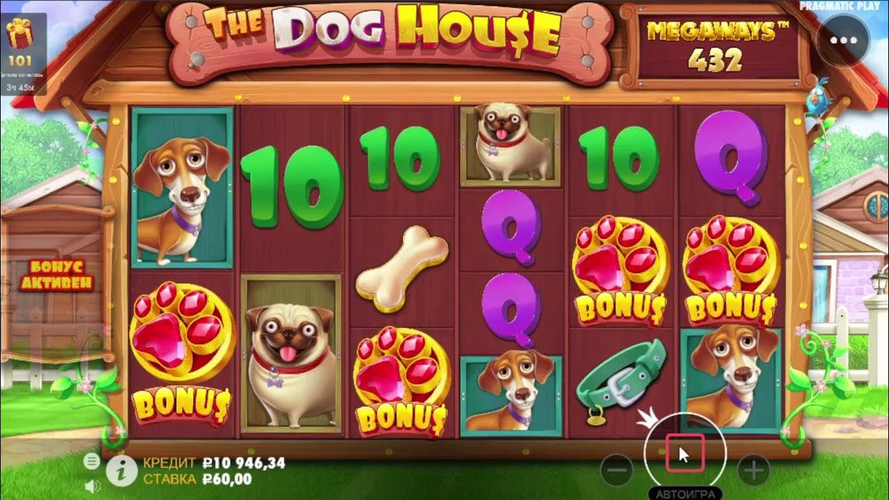 Игровой автомат a dog house. Дог хаус слот. Дог хаус слот. Слоты dog thje haus крутим. Играть в dog house 1win на деньги.