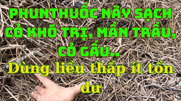 Thuốc trừ cỏ cực mạnh , phụ gia lưu dẫn đặc trị cỏ màn trầu, cỏ gấu khó trị lâu lên.