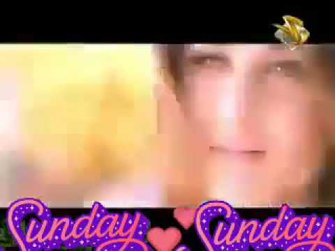 يا محبوب وينك وينك اجمل اغاني نرمين ابراهيم 