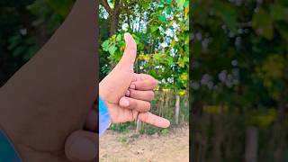🤙🏻#shorts #newsong #hindisong #fingerstyle #theakash