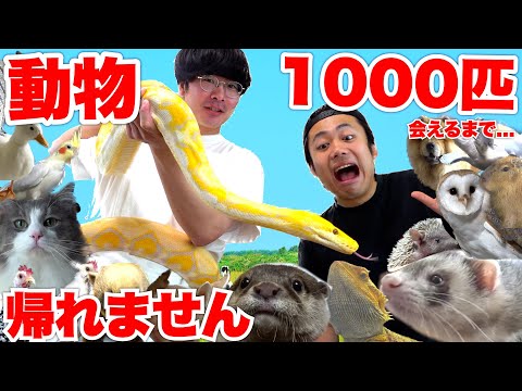 動物１０００匹に会えるまで帰れませんやったら動物園みたいな自宅に訪問できた！？